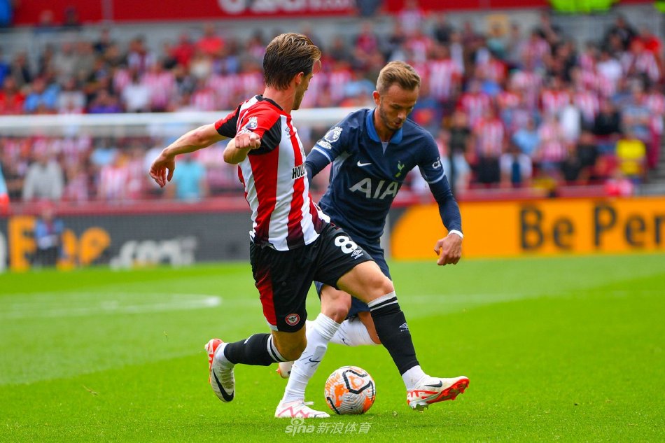 的最佳写照 的最佳写照